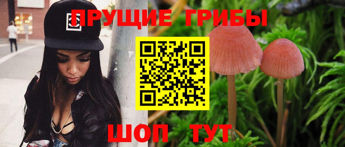 Галлюциногенные грибы Psilocybe Донской